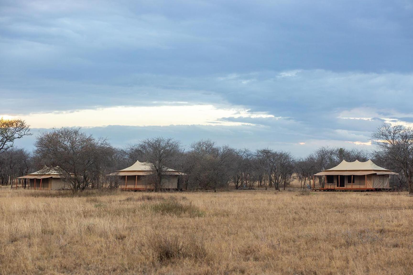 House Of Nature Serengeti Buitenkant foto