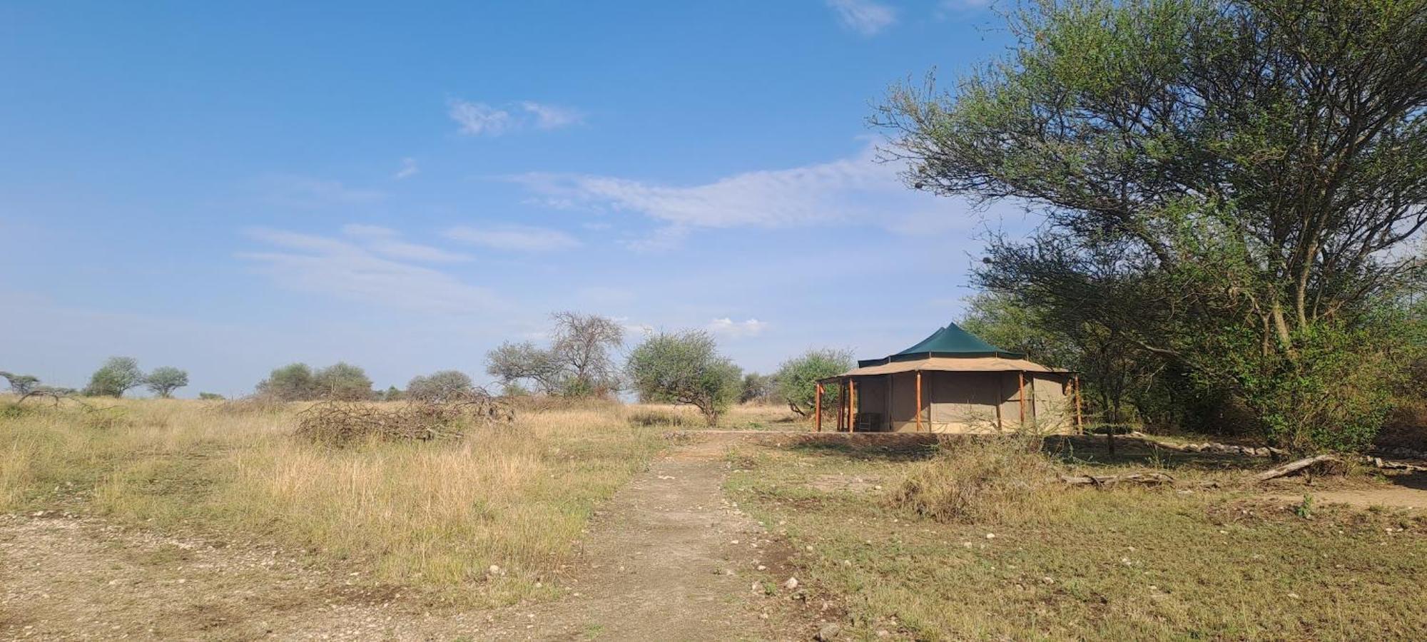 House Of Nature Serengeti Buitenkant foto