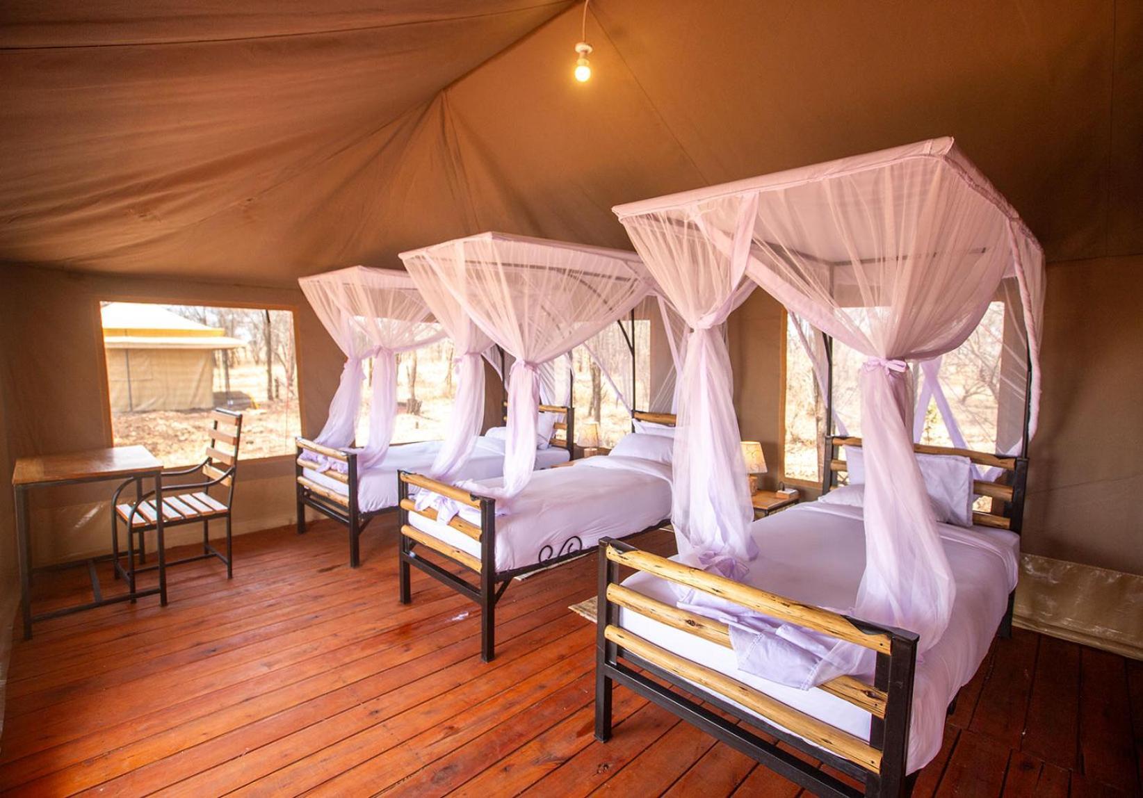 House Of Nature Serengeti Buitenkant foto